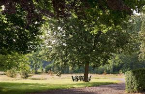 Maisons de vacances Chateau de Joyeux - Gites : photos des chambres