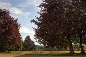 Maisons de vacances Chateau de Joyeux - Gites : photos des chambres