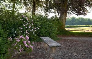 Maisons de vacances Chateau de Joyeux - Gites : photos des chambres