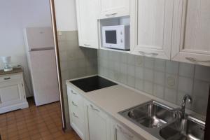 FLAT BIBIONE