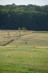 Lodges Cottages du Golf Fleuray-Amboise : photos des chambres