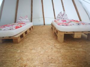 Youth Hostel Proteus Postojna