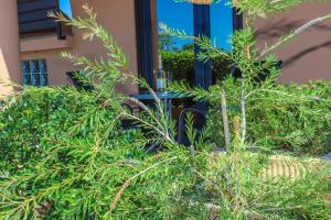 Apartments Villa Irena