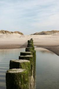 jolie logement proche de la mer
