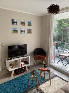 Nuevo y muy bien equipado departamento en Pucón