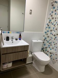 Nuevo y muy bien equipado departamento en Pucón