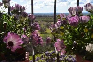 Terme e relax nella campagna viterbese - Blera
