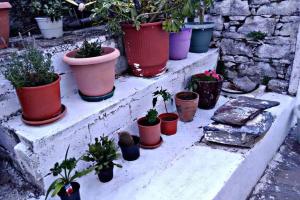 Iliana's courtyard Ikaria Greece