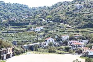 Iliana's courtyard Ikaria Greece