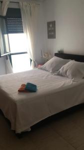 Overnachtingen in El-Altet