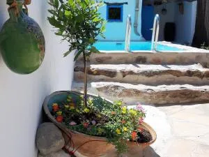 Casa Rural tía Salomé - Cálig