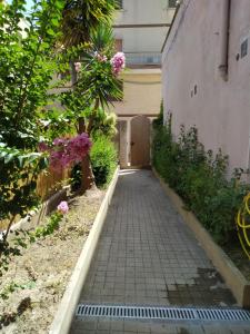 AlCentro img18
