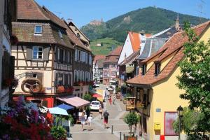 Hotels Hotel du Haut Koenigsbourg- entre vignes et chateau : photos des chambres