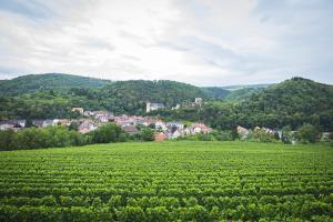 Goldberg Appartement