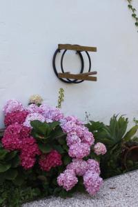 ribeira dos marinheiros vermelho