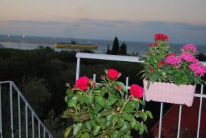 KILLINI COTTAGE STUDIO the small cyclades Ilia Greece