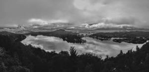 Solar de las Araucarias