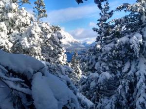 Solar de las Araucarias