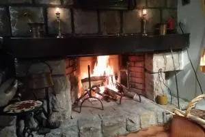 Villa Kornelija - Sakule