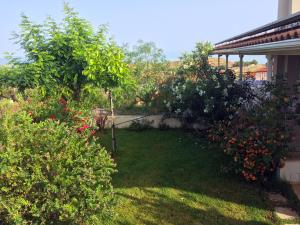 Corinthian Sun - Vacation Home Korinthia Greece