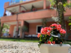 Apartments Tajana 