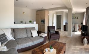 Zilvermeeuw - Drieplassenweg