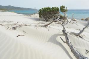 Ajo' a mulinu Teulada Guest Rooms img31