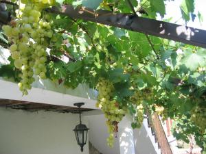 Hostel Mostel