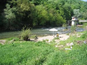 Hostel Mostel