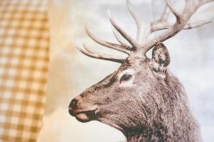 Haus Flexen rooms & apartments