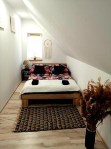 Apartament u Edka przy Dolnej