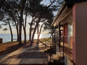 Family Bungalow Pineta 
