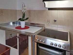 Apartment V&N, LAKE BOHINJ 