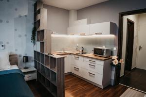 AH Radnica II Free Parking