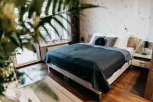 AH Radnica II Free Parking