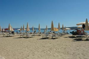 Apartments 30 m from the beach