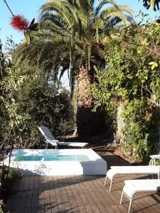 Vivelorural casa El Gargujo con piscina - Santa Brígida
