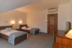 Standard Single Room room in Hotel U Pramenu