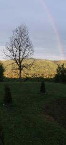 Pensiunea Casa Runcu Buzau