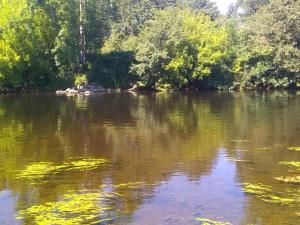 Pierre Deluen Domaine de la Grange de Quaire