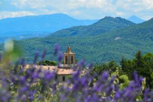 Maisons d'hotes La Bastide Du Claus - Vitaverde : photos des chambres