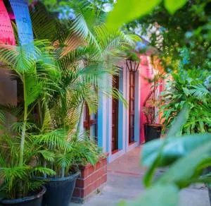 Hotel Las Golondrinas - Città di Oaxaca