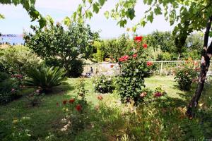 Apartmaji ORKO s pogledom na morje - Sea View Apartments ORKO 