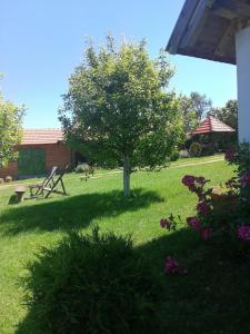 Camp Viljamovka