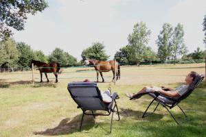 Maisons d'hotes La Longere de La Chevallerais : photos des chambres