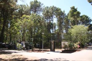 Campings Camping Taxo Les Pins : photos des chambres