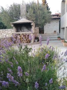 APARTMANI MOROVI DVORI