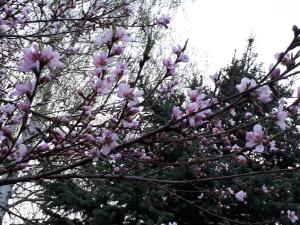 Hunting House Ezerkrasti