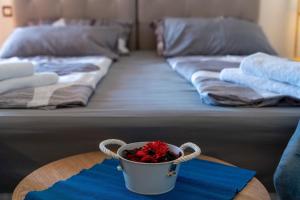 Apartments Miri Vrsar 
