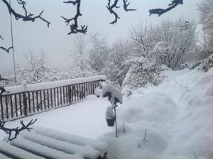 Haus Altenberger by we rent